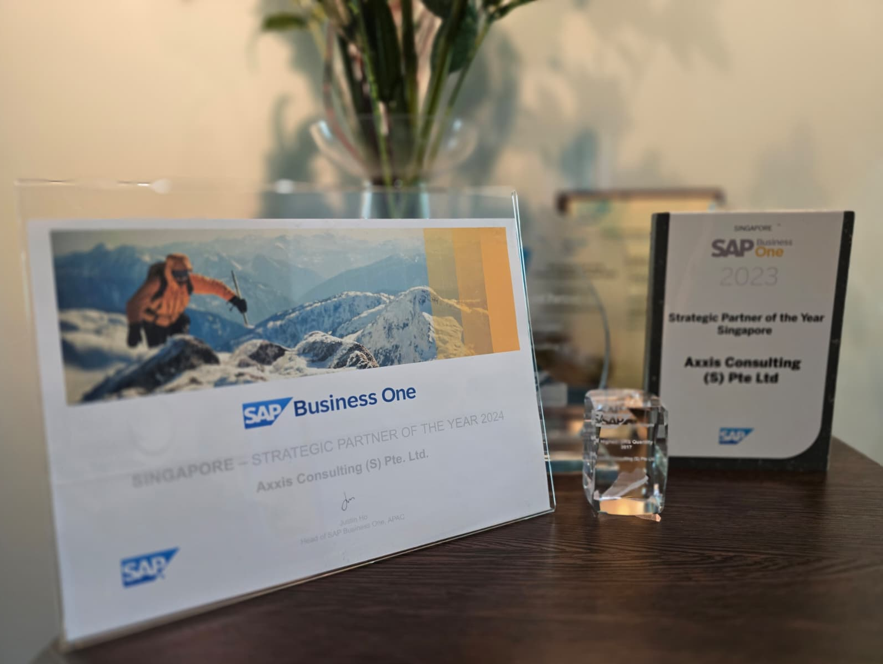 The best Strategic Partner SAP B1 Award